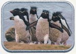"Fotopatch, Pinguine" von Mono-Quick